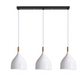 Elegance 3-Light Indoor Island Pendant Light