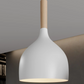 Elegance 3-Light Indoor Island Pendant Light