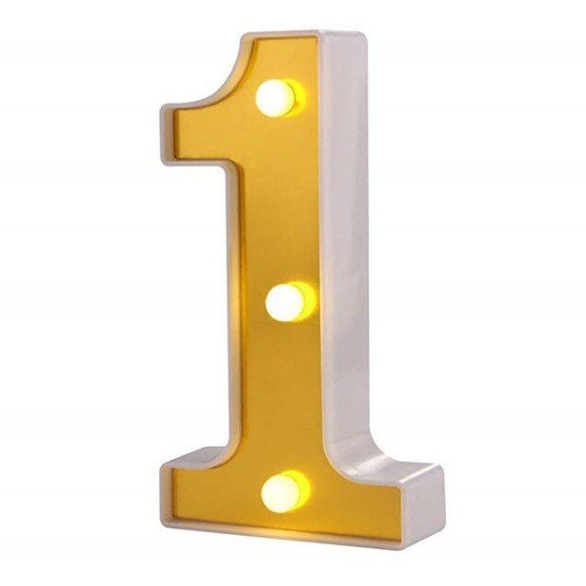 LED Number Light - 22cm