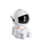 Astronaut Rotatable Mini Nebula Projector Night Light