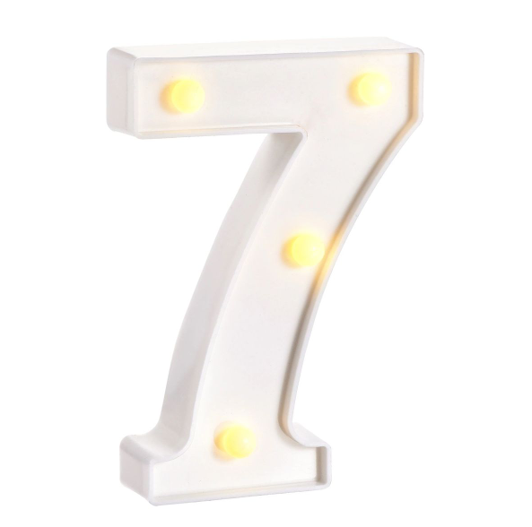 LED Number Light - 22cm