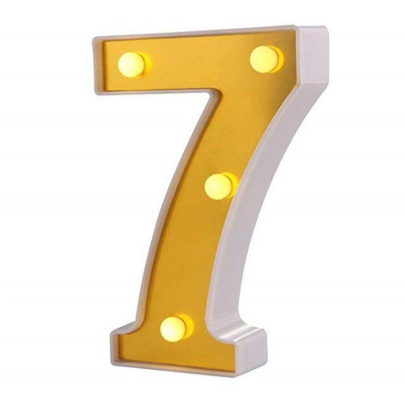 LED Number Light - 22cm