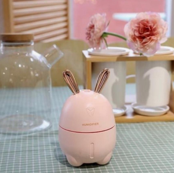 Rabbit Humidifier